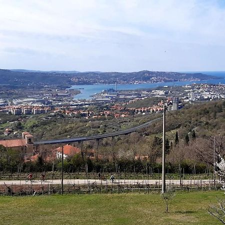 Bellavista Trieste San Dorligo della Valle Kültér fotó
