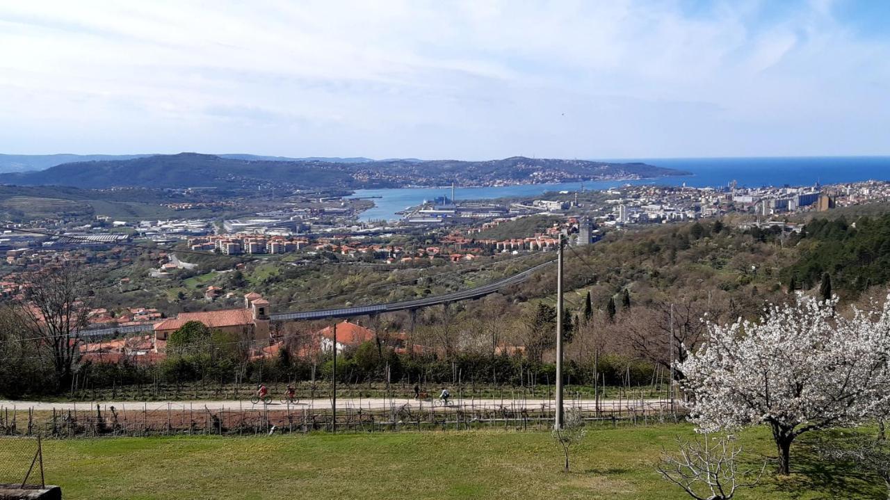 Bellavista Trieste San Dorligo della Valle Kültér fotó