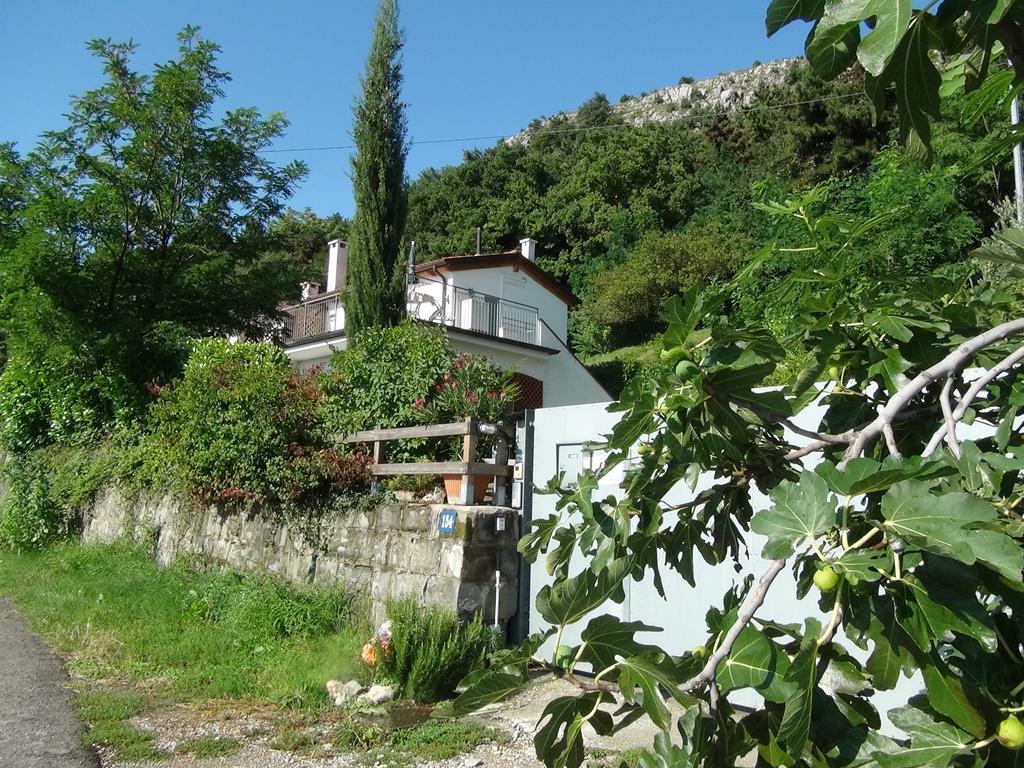 Bellavista Trieste San Dorligo della Valle Kültér fotó